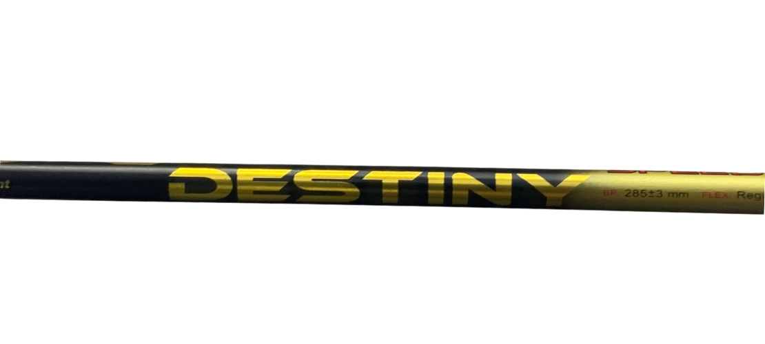 vợt cầu lông prokennex destiny speed